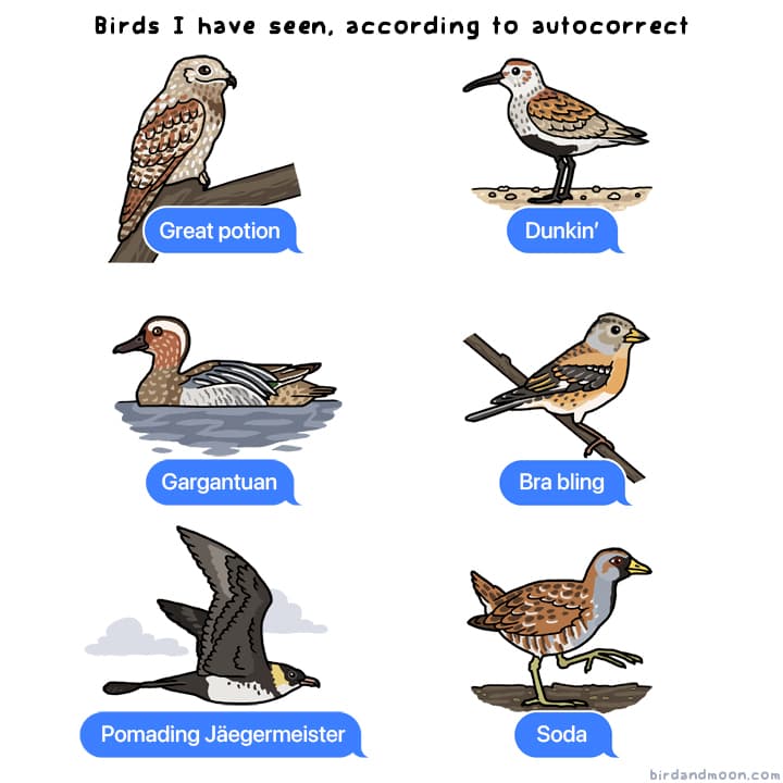 Autocorrect Birds