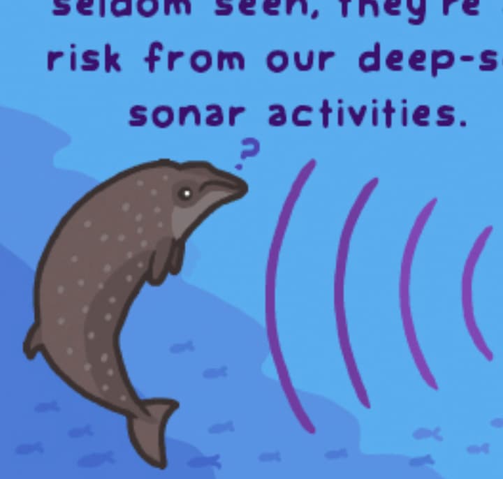 Beaked Whales