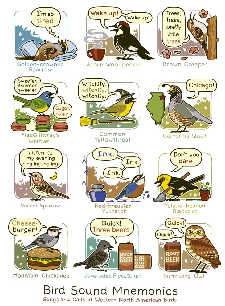 Western Bird Sounds