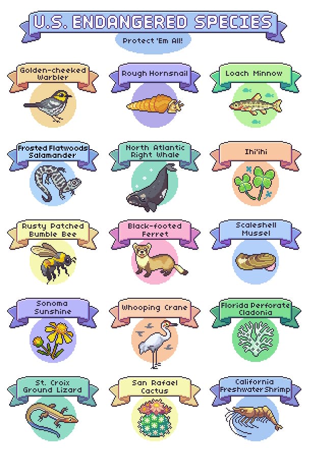 US Endangered Species Chart