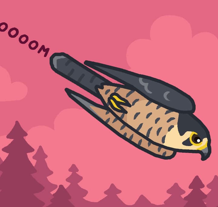 Flappy Valentine