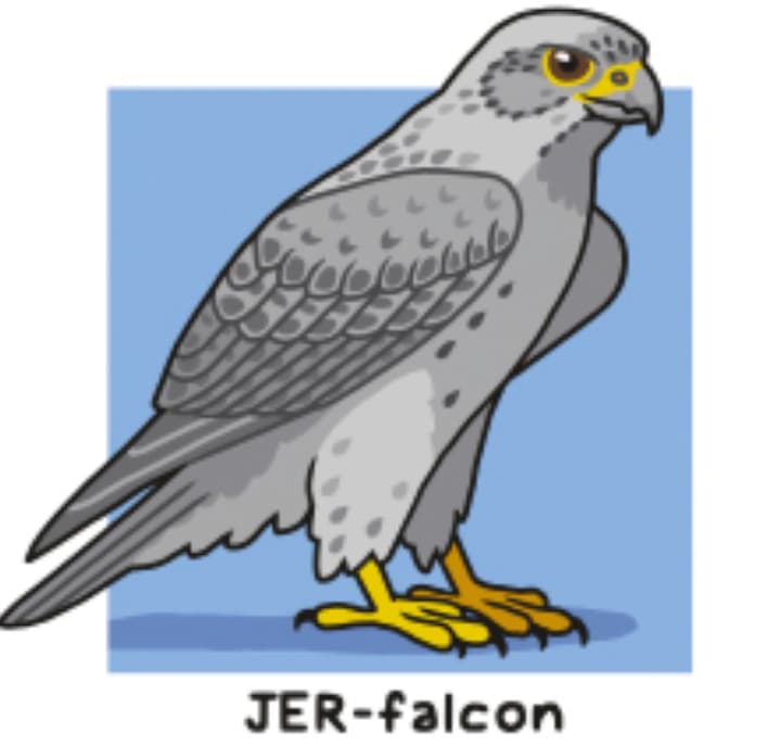 Gyrfalcon