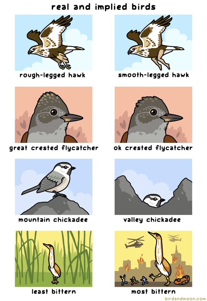 Real and Implied Species — Rosemary Mosco