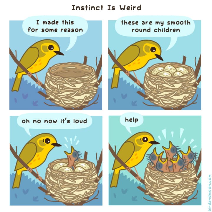 Instinct Is Weird