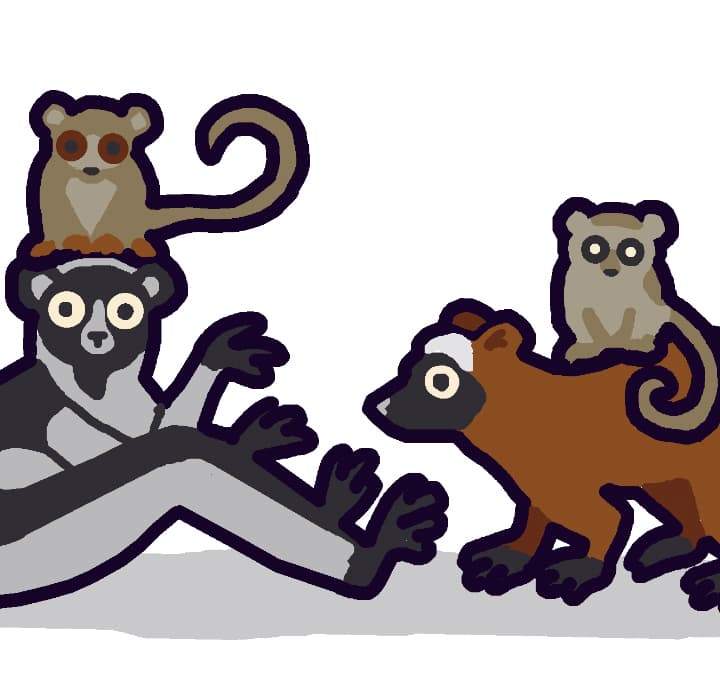 Saving Lemurs