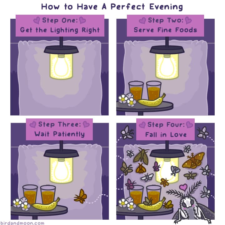 How to Have a Perfect Evening