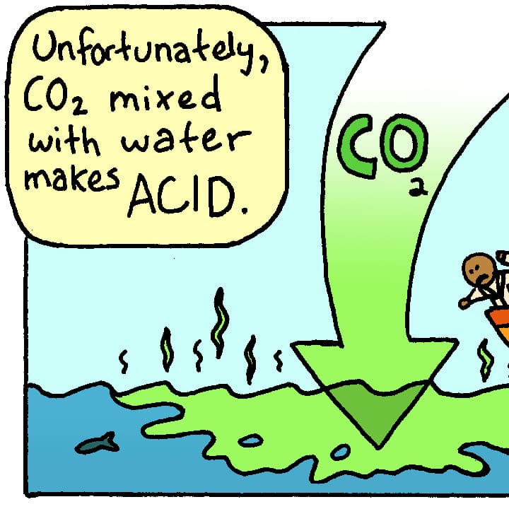 Ocean Acidification