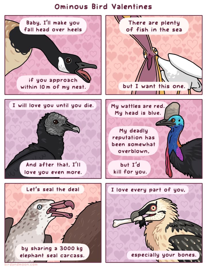 [Image: image?url=https%3A%2F%2Frmosco.nyc3.digi...w=750&q=75]