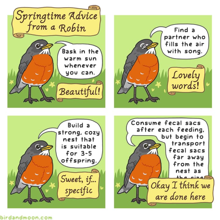 Springtime Advice