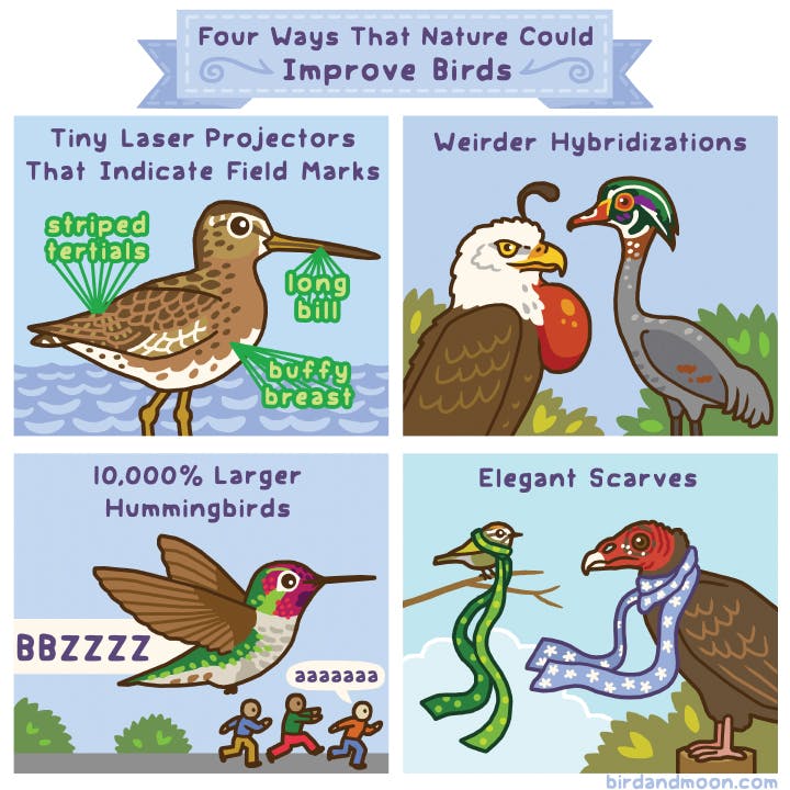 Improving Birds