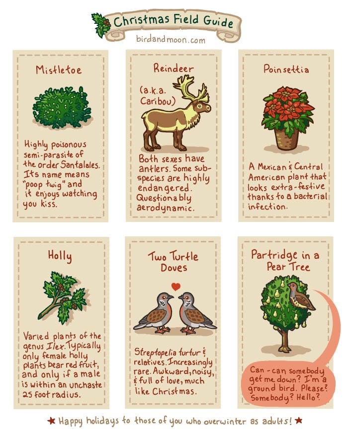 Christmas Field Guide