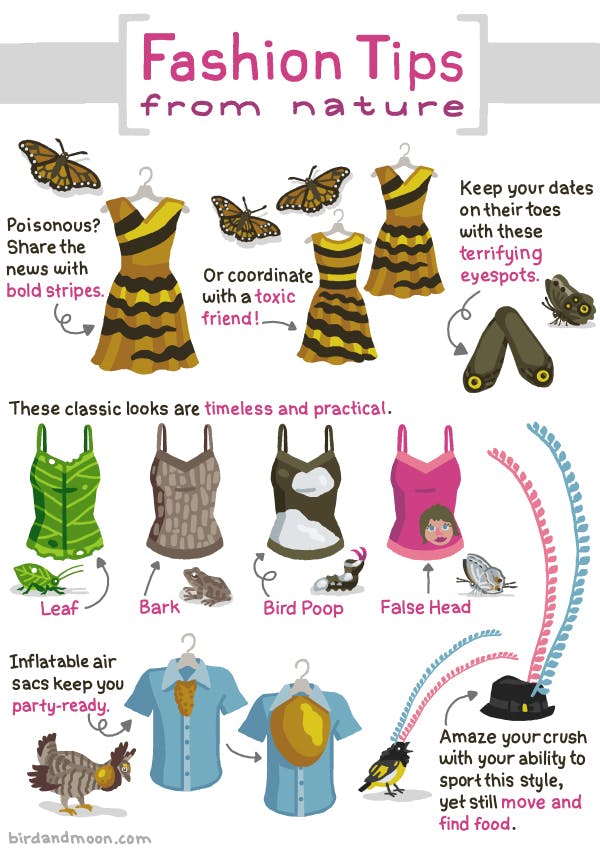 Nature Fashion Tips