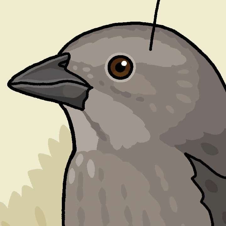 Femalebirdnamesthumb
