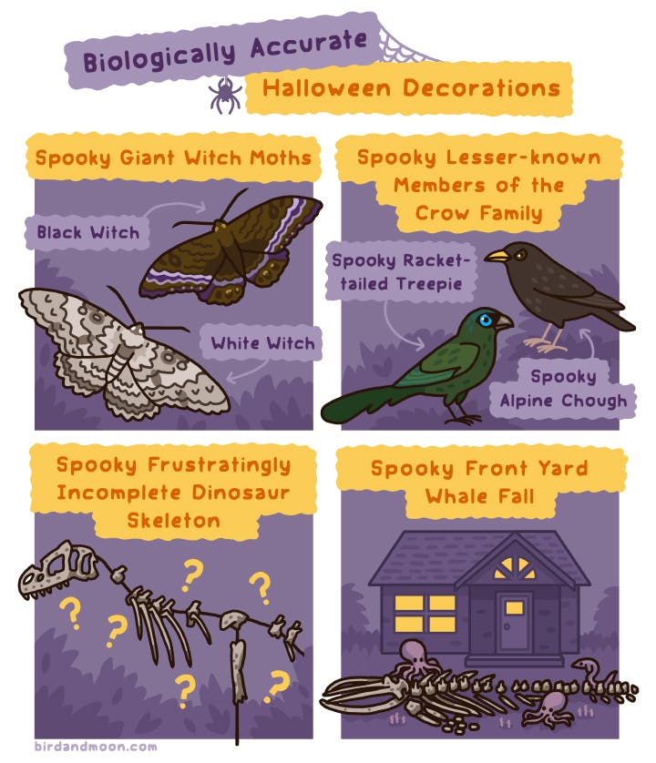 Biologically Accurate Halloween Decorations