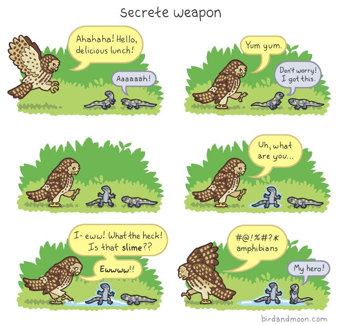 Secrete Weapon