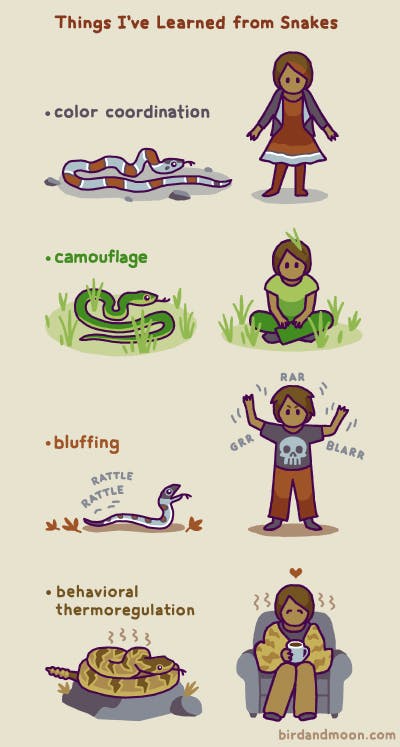 Lessons from Snakes