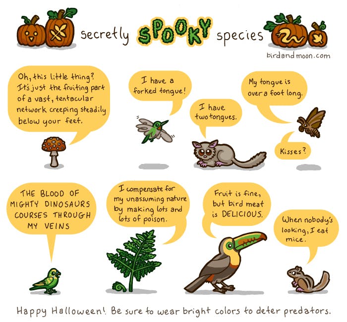 Spooky Species