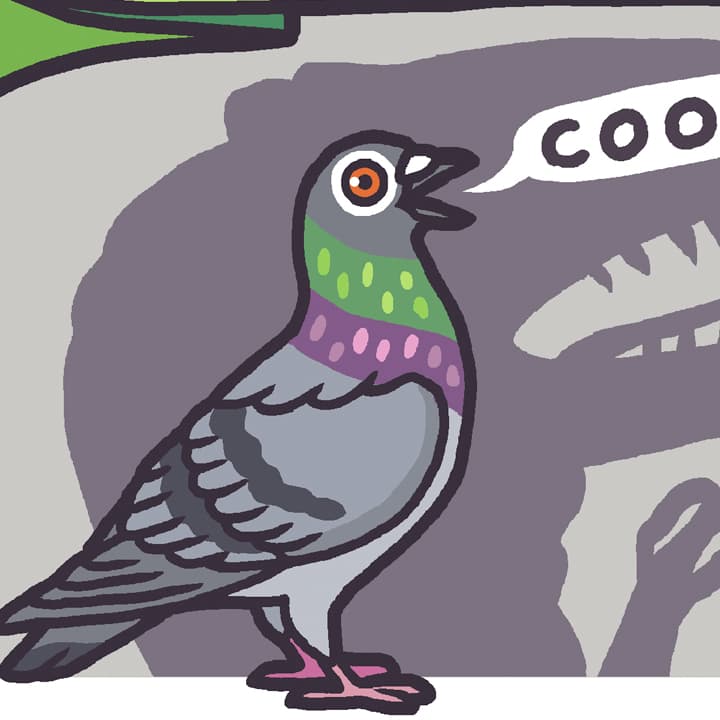 Whatcitypigeonsthumb